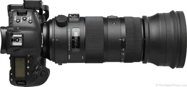 Sigma 150-600mm - Image 3