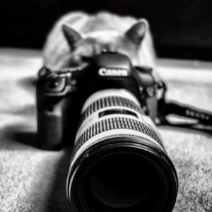 Lens