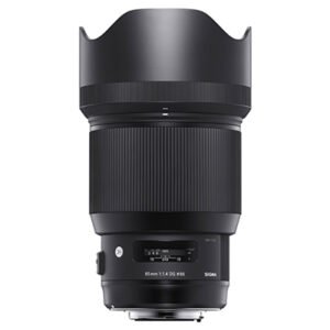 Nikon Sigma 85mm 1.4[Art]