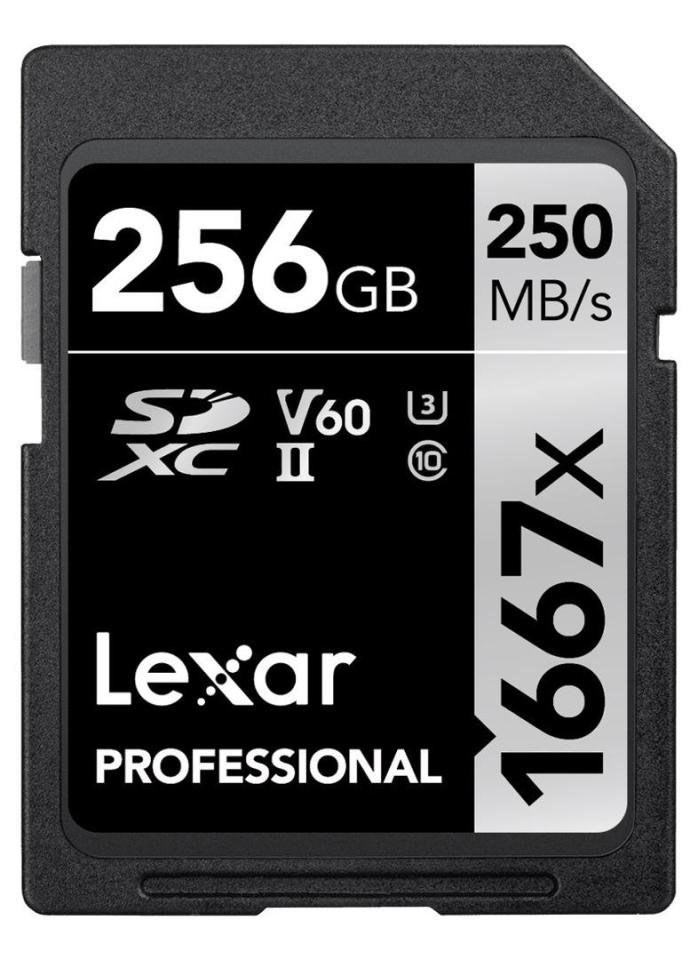 Lexar Professional 256GB SD Card (V60)