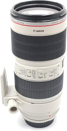 Canon FR28-70 2.0